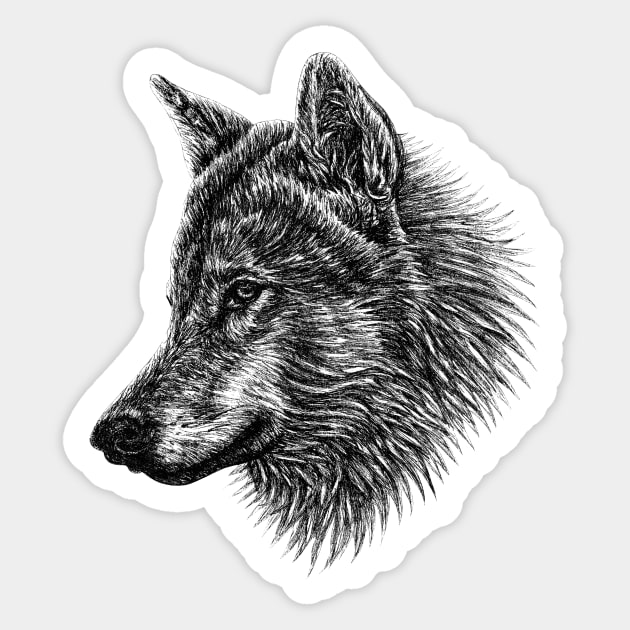 European wolf animal ink illustration Sticker by lorendowding